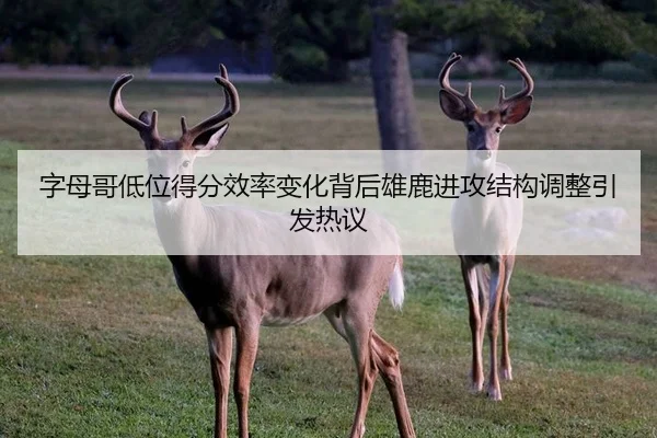 字母哥低位得分效率变化背后雄鹿进攻结构调整引发热议